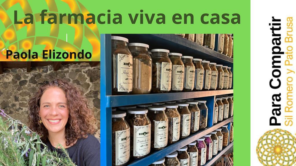 Taller de Farmacia Viva en Casa con Paola Hoja Verde – Julio 2023